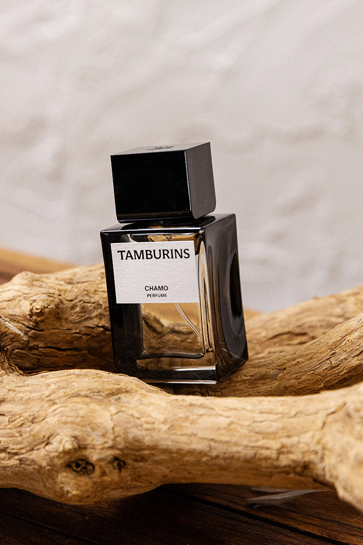 Tamburins　タンバリンズ